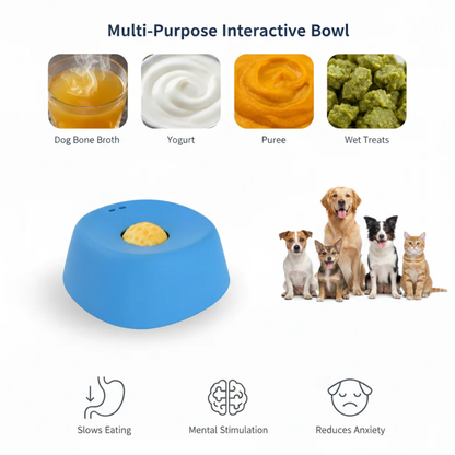Slow Feeder Bowl